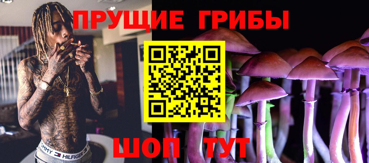 Тимашёвск  Псилоцибиновые грибы Magic Shrooms  Вход с VPN 